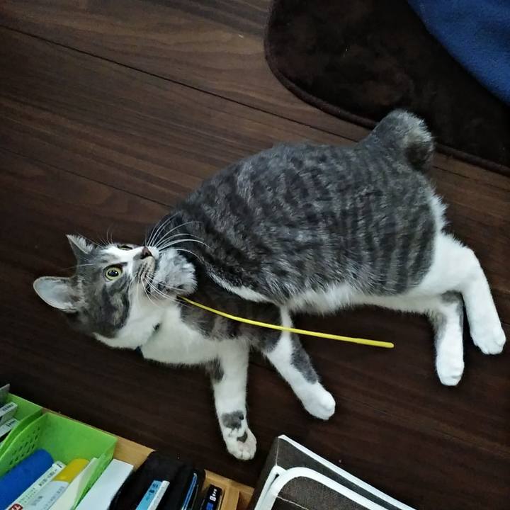 Bcf56ddc 3fd4 4347 92f0 41d01920f186 1581895698646