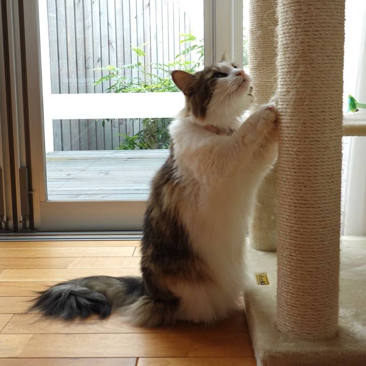 Bcf578c1 0009 4ba6 a238 fbe47a76d9f5 1598870930039