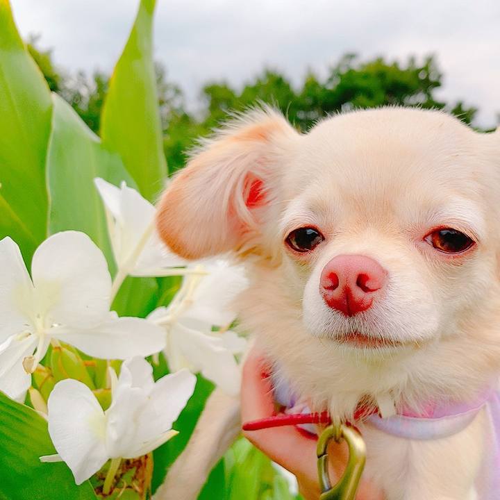 Bcf58fc5 3c93 48d3 ae4a 40b60afe224c 1631694503033