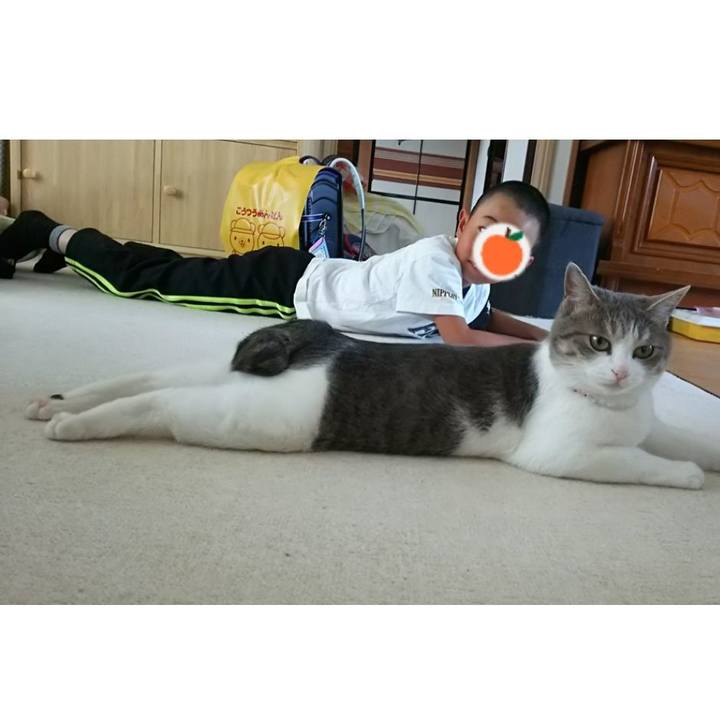 Bcf5a187 024a 41dd 80a6 a885b22d1c5d 1586699399144