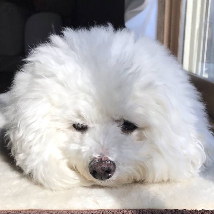 Bcf5c378 3c56 45e8 8968 4ffdae75f9eb 1580966249368