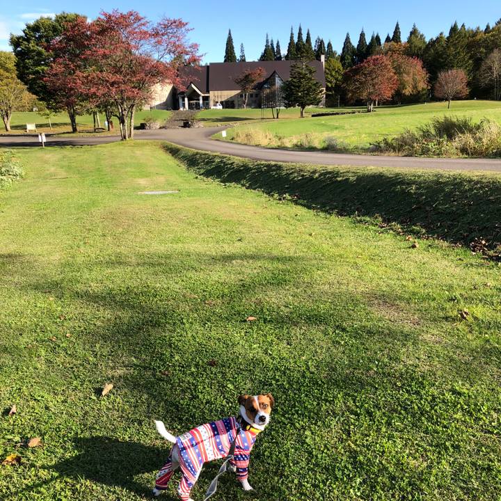 Bcf5d251 09fb 44ea 92fe 13d4ede68674 1540279909903