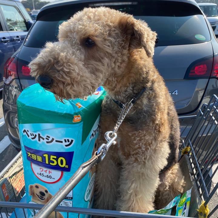 Bcf5d4d1 7248 4130 a049 8a00c10a7b5f 1605582639902