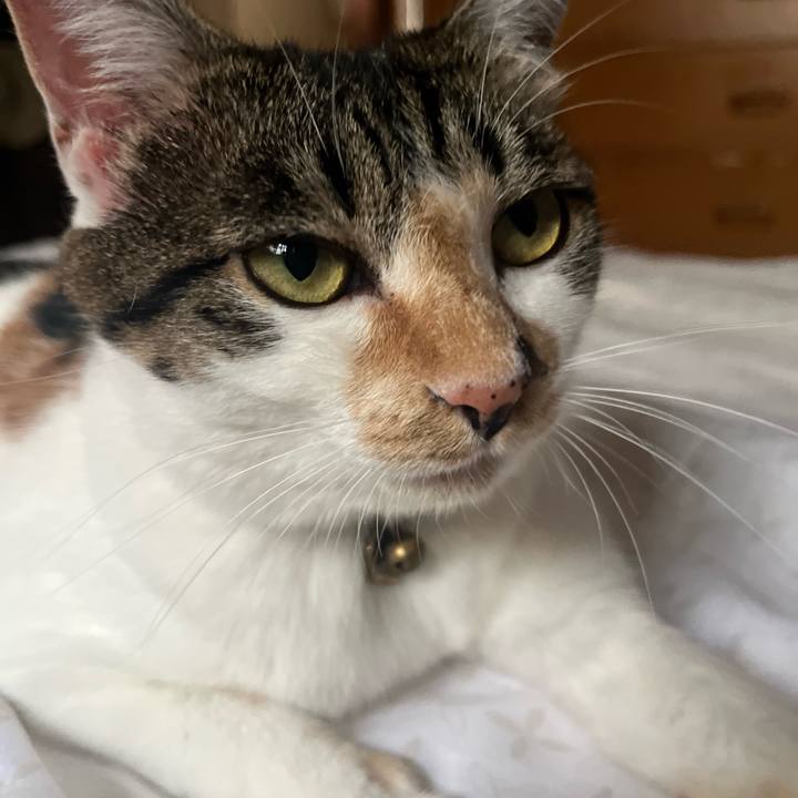 Bcf5dc9e c525 45c6 ab3d 97551912dd11 1758433768849