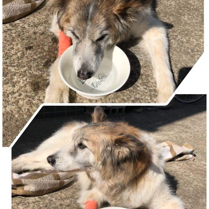 Bcf5ef32 6afd 4b72 a9dd e6e26cbba4f2 1519011213528