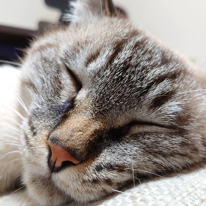 Bcf63a41 a959 458b 90a4 044934465e64 1631195565358