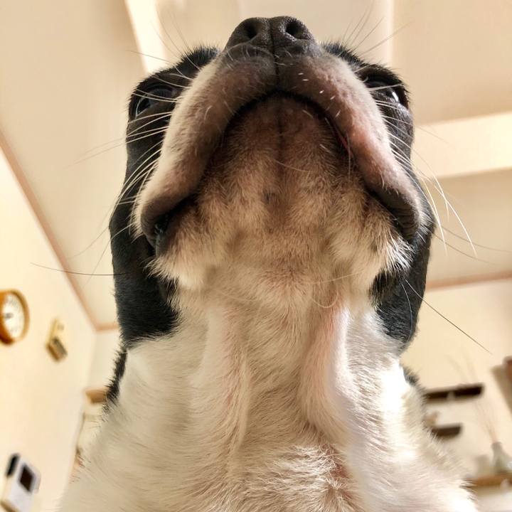 Bcf6418b 18f5 41e9 9820 f5c84152615a 1540377682833