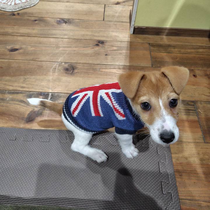 Bcf65ac8 3c59 4016 a6ef 76792a480d7a 1709040927298