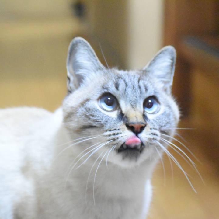 Bcf687fb 2ec3 40a4 bdb0 6056a5f11cb5 1542966903476