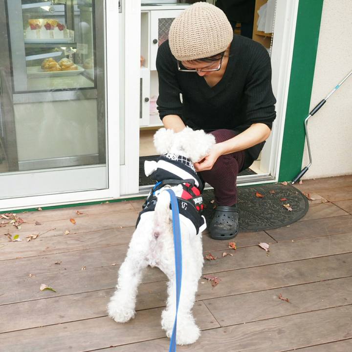 Bcf69088 2e93 4e85 8fa0 919d9f134637 1511413785084