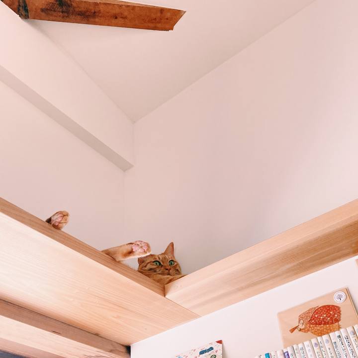 Bcf6a211 ea90 4dae 9b6e 1db449c49c0b 1592014619481