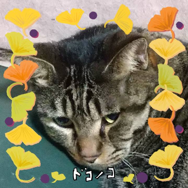 Bcf6d05f 021c 4ef7 a2d8 ab6413e7e79e 1729370658262