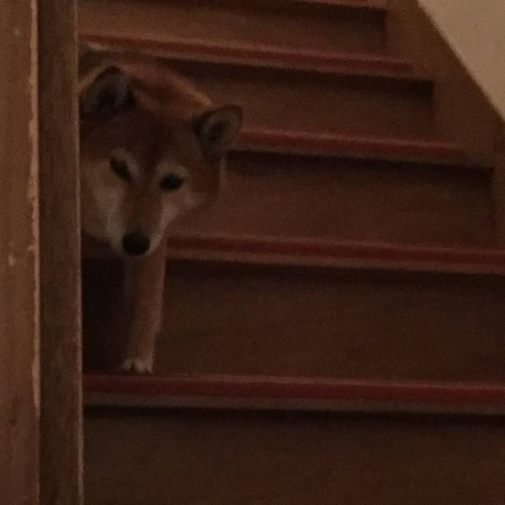 Bcf6d6e6 6a46 4c40 8740 fc670e7e6fb9 1541841107125