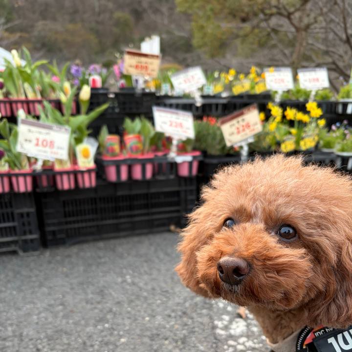 Bcf6e7d6 20db 4223 9133 98c9a724d7bb 1773614025024