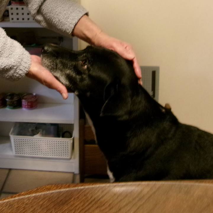 Bcf6e7f9 0208 48a9 b672 50bf46aba689 1733358079681