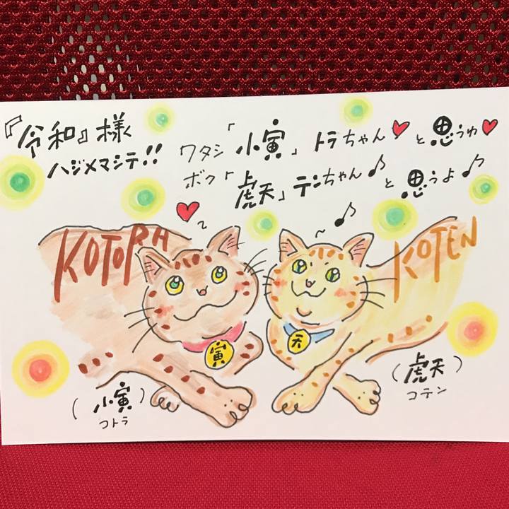 Bcf70547 851c 478b 9075 9e66b6f856df 1556644273814