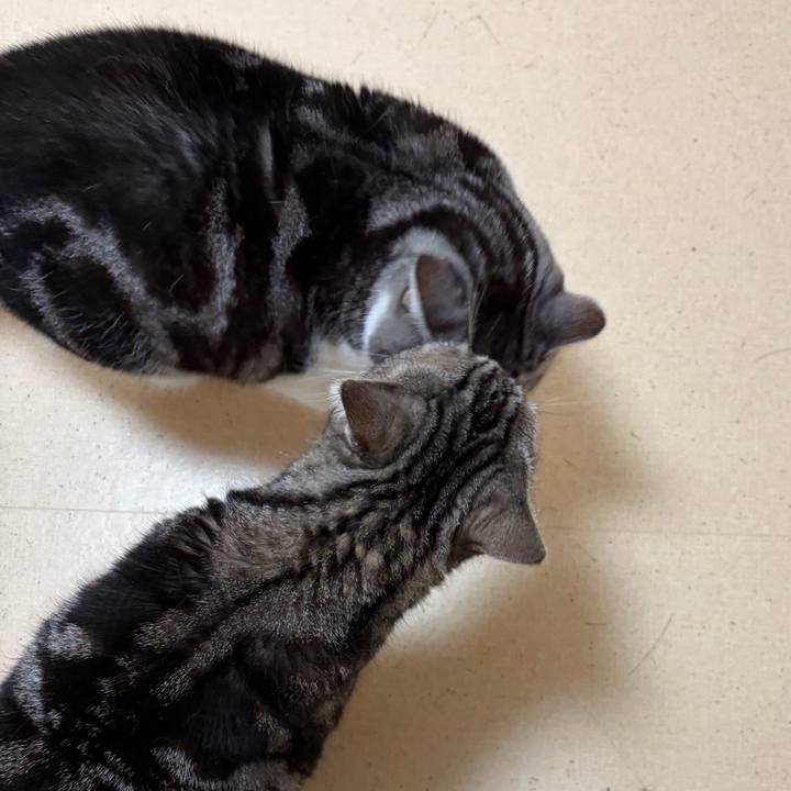 Bcf7166e 3e1d 436c 9f33 bb190bc67571 1772508925169