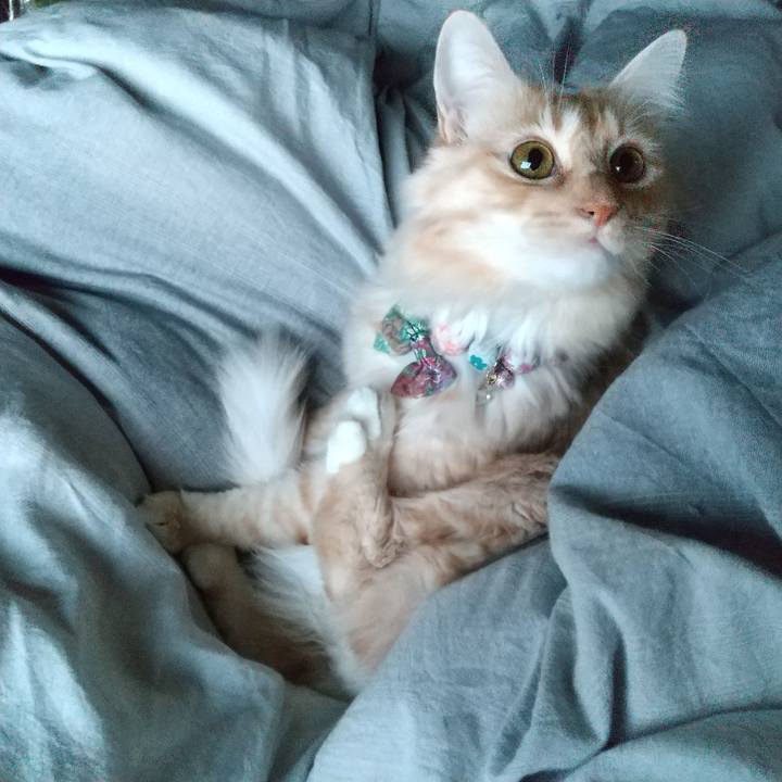 Bcf749da a59c 4430 8283 4bcc6f2ff908 1641942789980