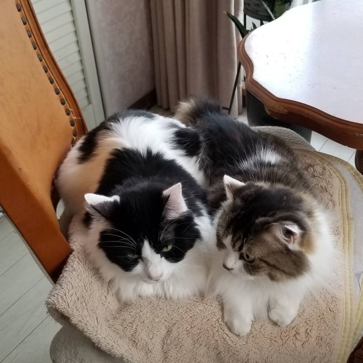 Bcf752ad be24 4be7 b0d1 db2d2c99fdb0 1573097430948