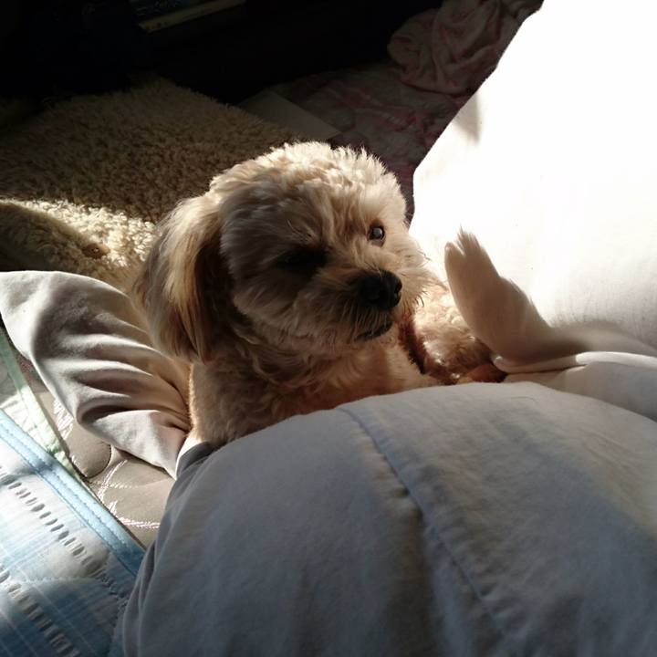 Bcf75ac1 1b45 42ee bfd8 8ae484e994f1 1542504477213