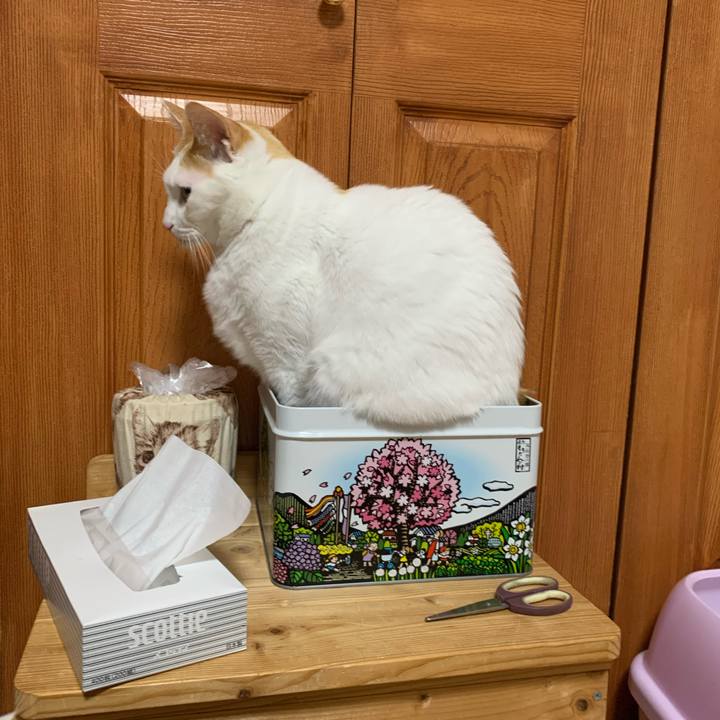 Bcf78309 d528 41f6 8577 68f5249d8cfc 1618238405019