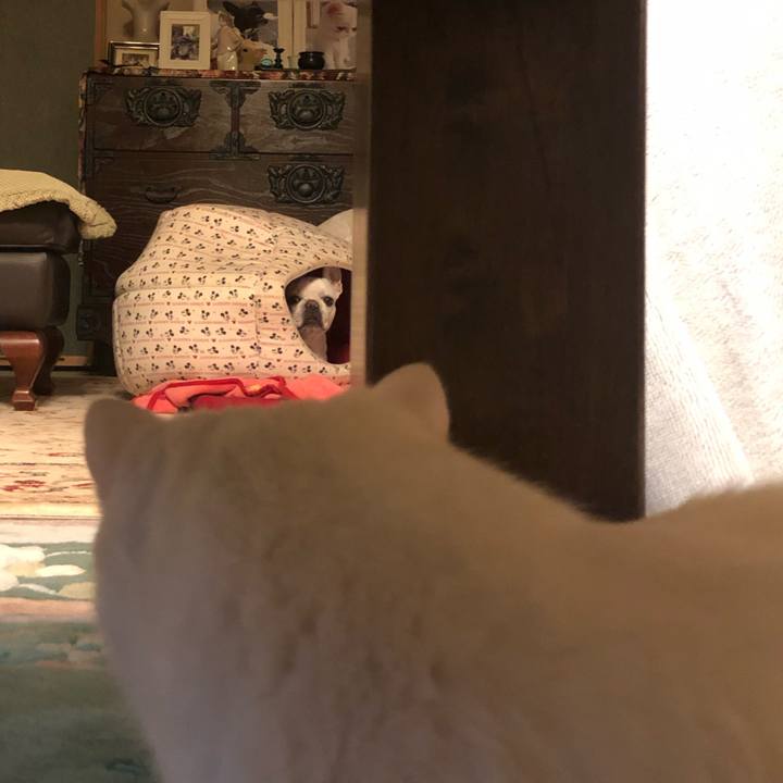 Bcf7eea1 b1c3 423e 8b93 6bdad9b636cd 1636191094778