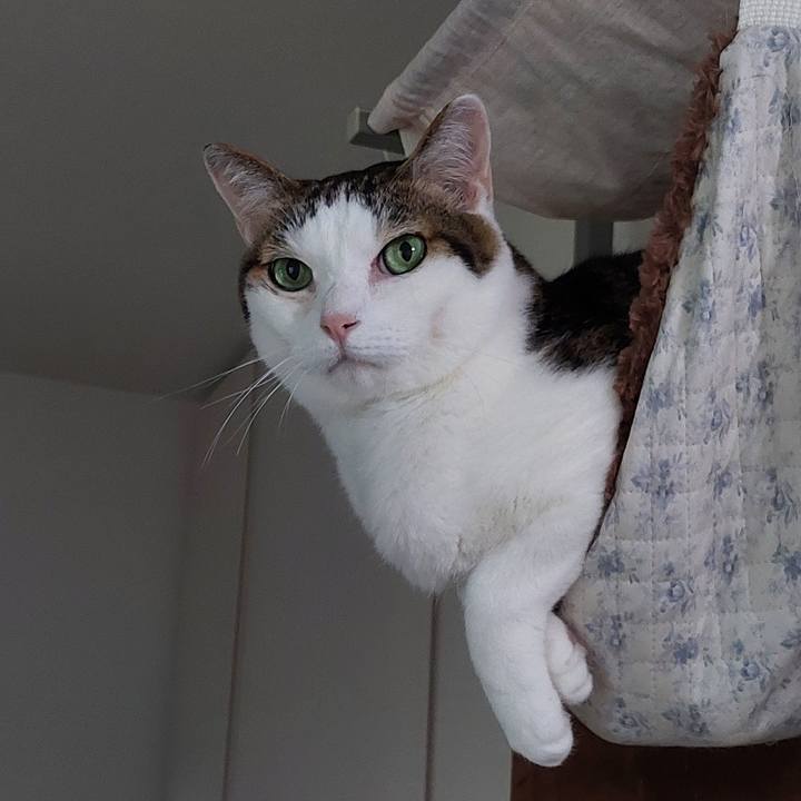 Bcf7efab 8419 45cc 937c 554eaa697897 1756763311626