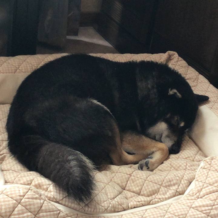 Bcf81281 16ed 4738 a820 6eedef9098ca 1558430101680