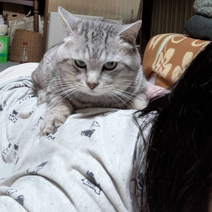 Bcf81b4b 9abf 4ff8 a15b 13339d6ebe17 1749485674671