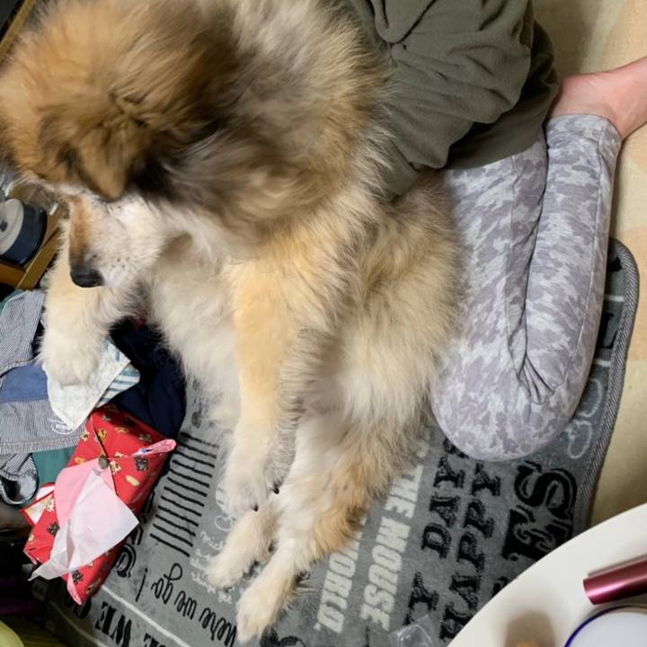 Bcf83b21 88b3 4200 9db3 504006a45b7d 1598823318496