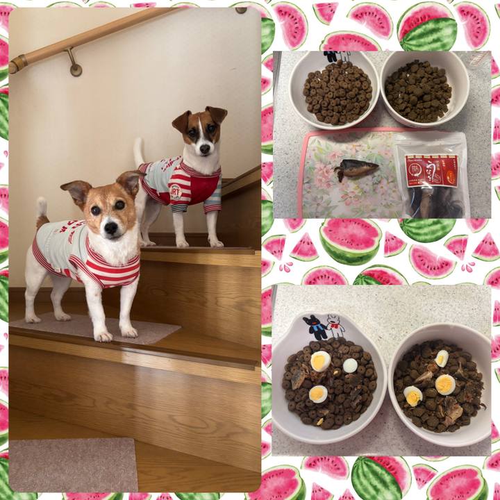 Bcf861aa 7156 461d 92c7 e93c7485af20 1752918287583