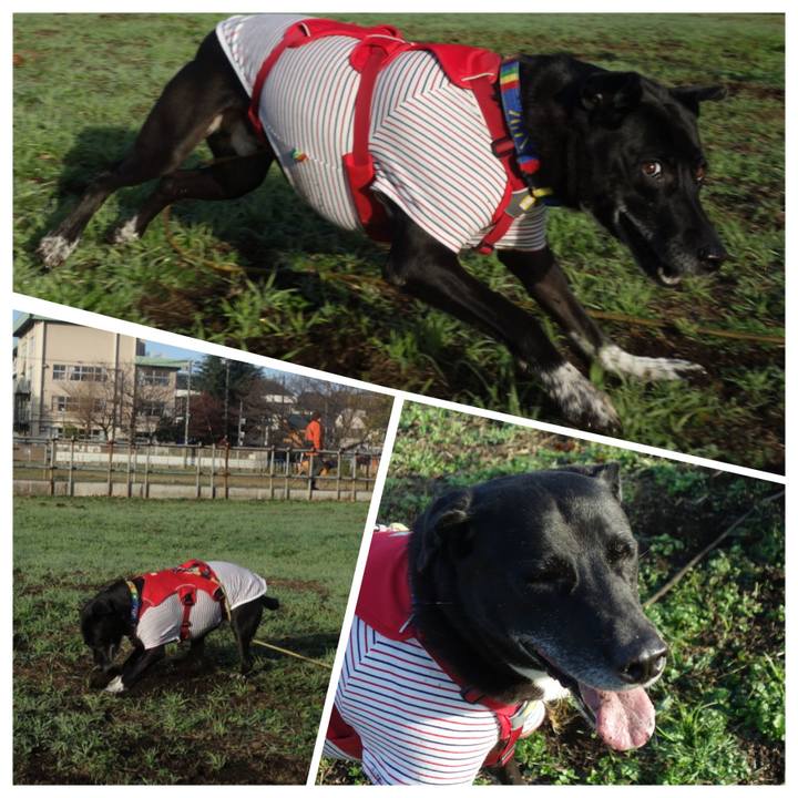 Bcf86ee1 1ca9 41d7 baf0 265f195f0a75 1670119815278