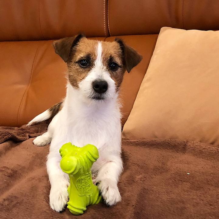 Bcf87032 d76b 4162 ba30 a0930b96394b 1512475864543