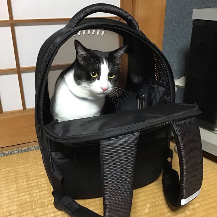 Bcf870e7 ec06 45b4 9b31 da49e1e1dc3b 1700827936744