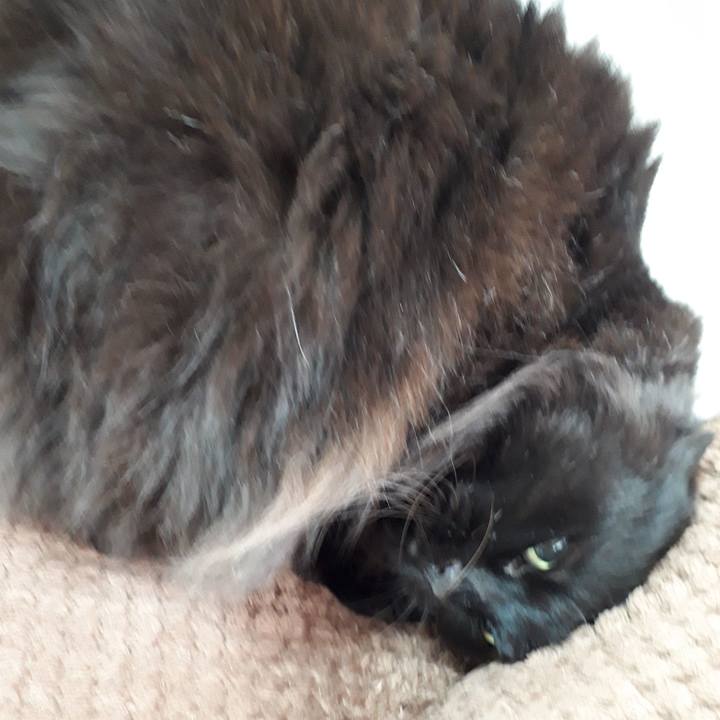 Bcf8719a daf1 4233 84a2 0201991b23fd 1519432347251