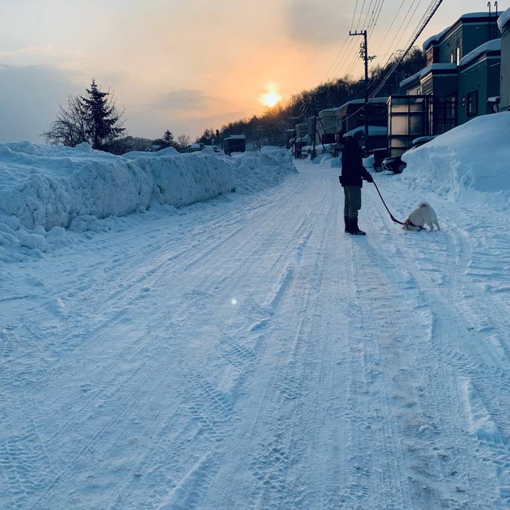 Bcf8778f bef5 44a9 9915 a3766d5fcfb0 1676673754676