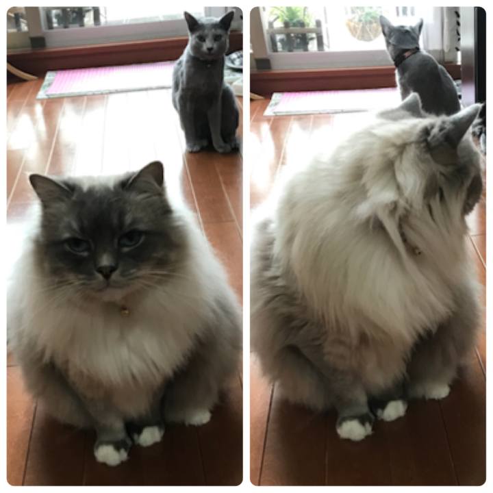 Bcf89780 3d4a 43ae 988a f2deb1fcd434 1524522633983