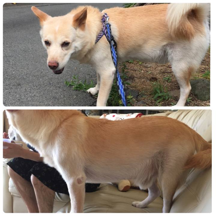 Bcf8a30b 8156 46f8 9f33 6eb018ea773e 1529653934634