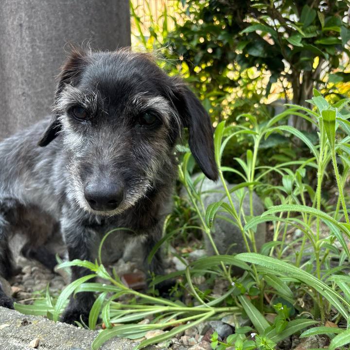 Bcf8c949 a410 437b a8d8 fdc5af4bbae5 1753831042467