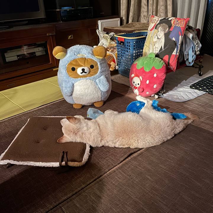 Bcf8cb43 6cd0 4a09 91f3 18a373b14728 1661095150662