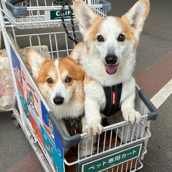 Bcf8e0d8 c8e3 4223 9771 8de27ac68d89 1776243994176