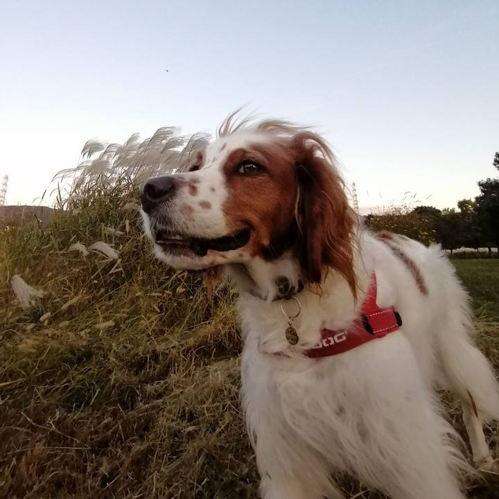 Bcf90d82 e9f6 4ef7 a2f5 9e511fd28fdb 1573213567802