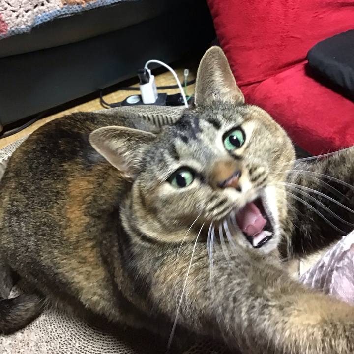 Bcf917a9 6a02 4fc4 bc1d 153467e6faf6 1701604595429