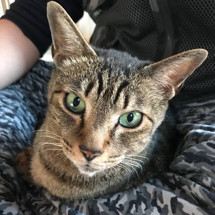 Bcf92701 bd27 4546 87d8 7bd0a87cc21c 1525398217021