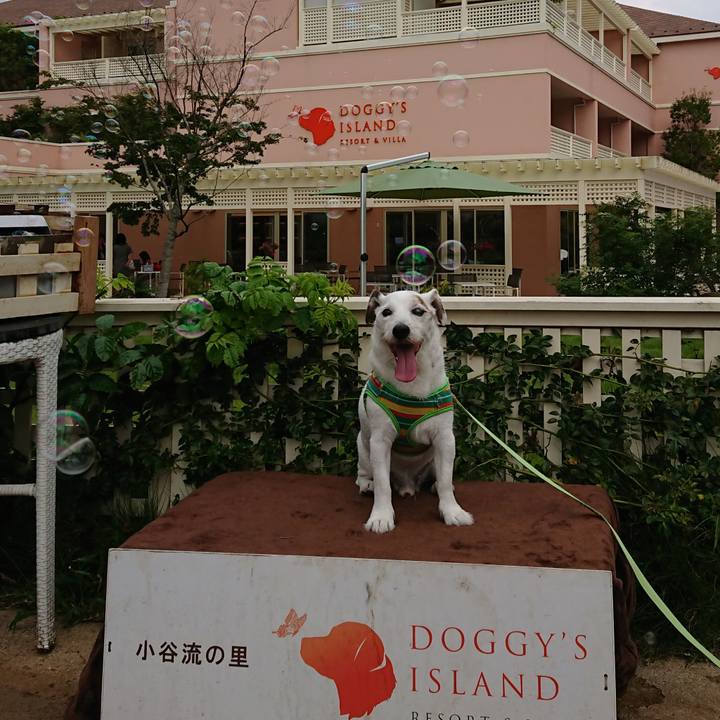 Bcf92da7 7d25 498f aec0 e498bc731176 1567347570269