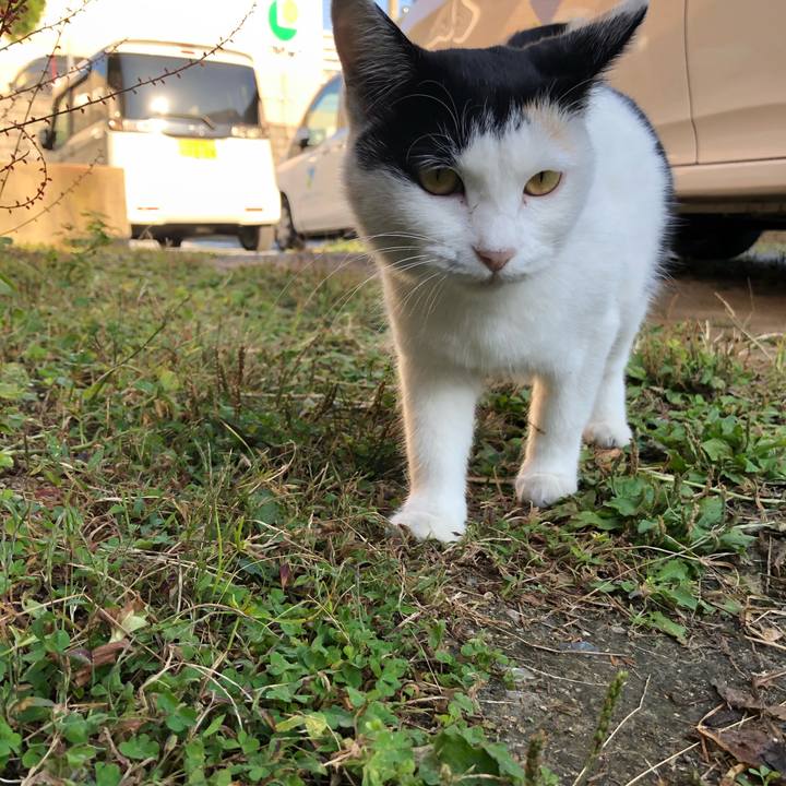 Bcf946d1 edf8 407f ba40 7258a2342df1 1602976927003