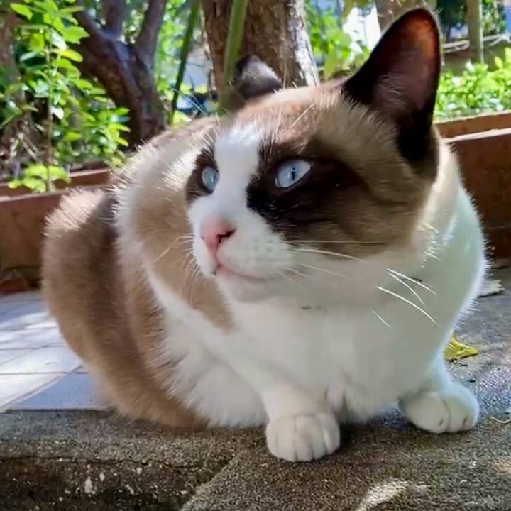 Bcf95511 6dbe 43a5 83e3 46da5e2fe979 1731386870940