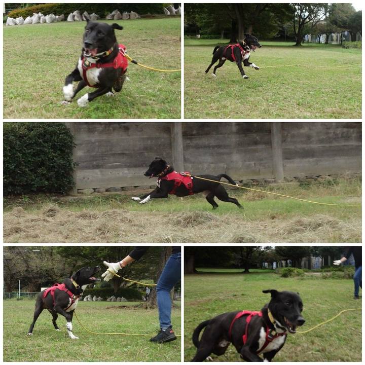 Bcf993e4 73e4 4ebf 86a5 f1ba886ec97d 1602633584667