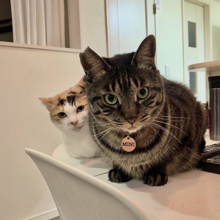 Bcf99af2 13b1 4b52 b941 a249a37becc4 1707396407514