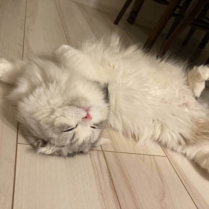 Bcf9a09b 5fea 47be 88ca c21312d8b42c 1616194980447